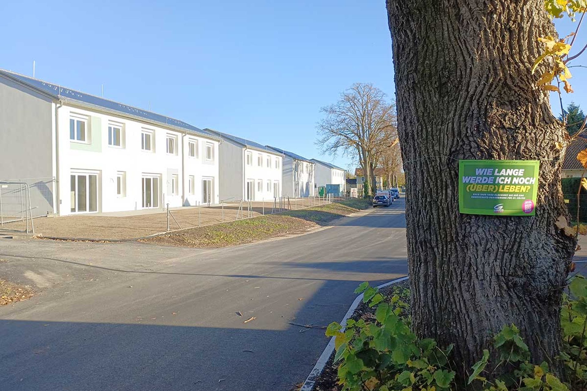 Baumschutz-Verordnung-St.Poelten: Schild auf Baum am Straßenrand 'Wie lange werde ich noch überleben?