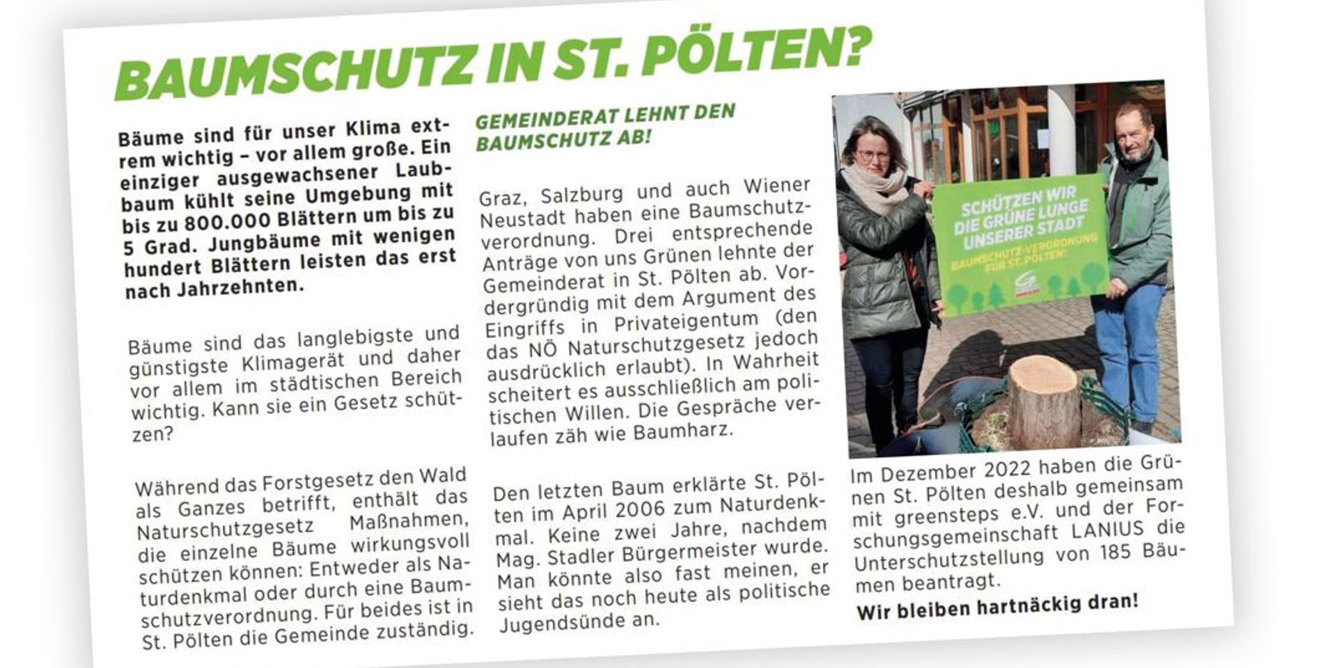 Zeitungsausschnitt zum Thema Baumschutz in St. Pölten