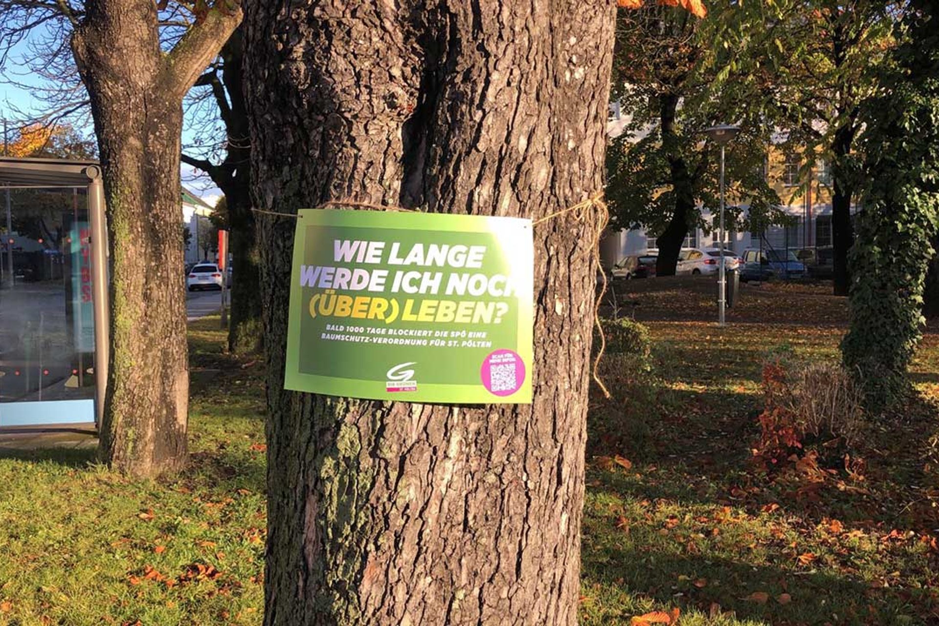 Grüne fordern Baumschutz-Verordnung für St. Pölten: Schild auf Baum "Wie lange werde ich noch überleben?"