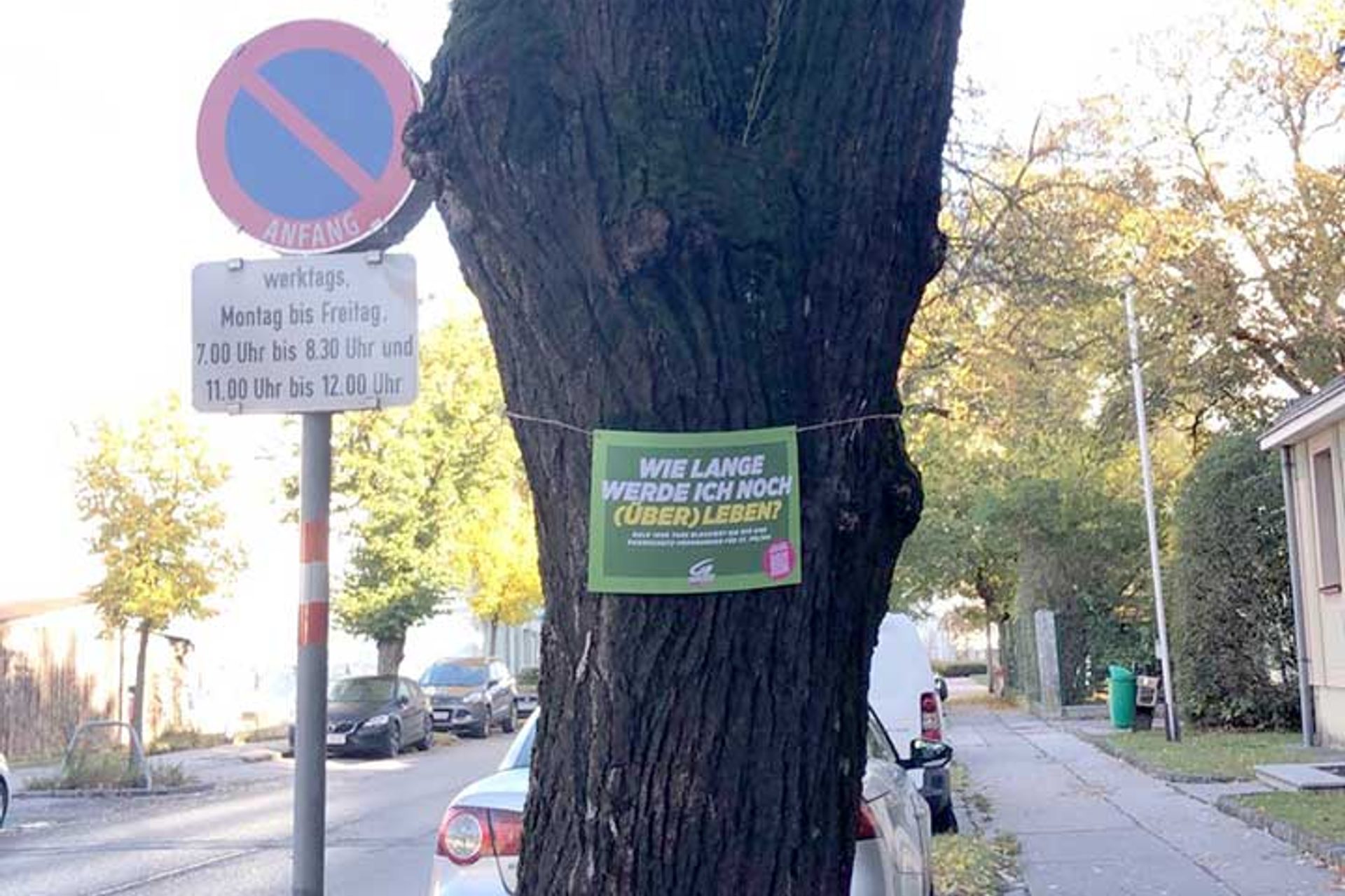 Grüne fordern Baumschutz-Verordnung für St. Pölten: Schild auf Baum "Wie lange werde ich noch überleben?"