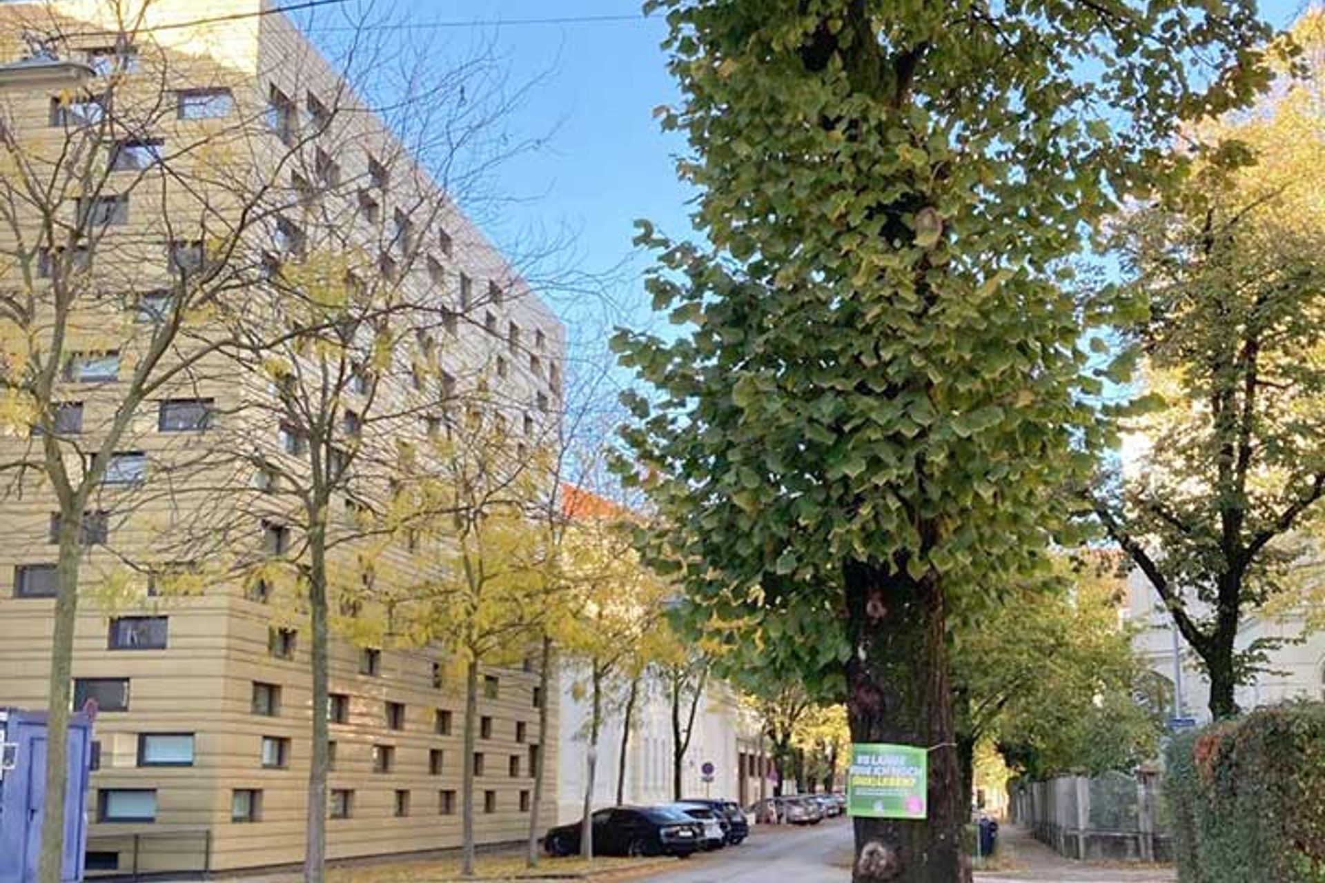 Baumschutz-Verordnung-St.Poelten: Schild auf Baum am Straßenrand 'Wie lange werde ich noch überleben?