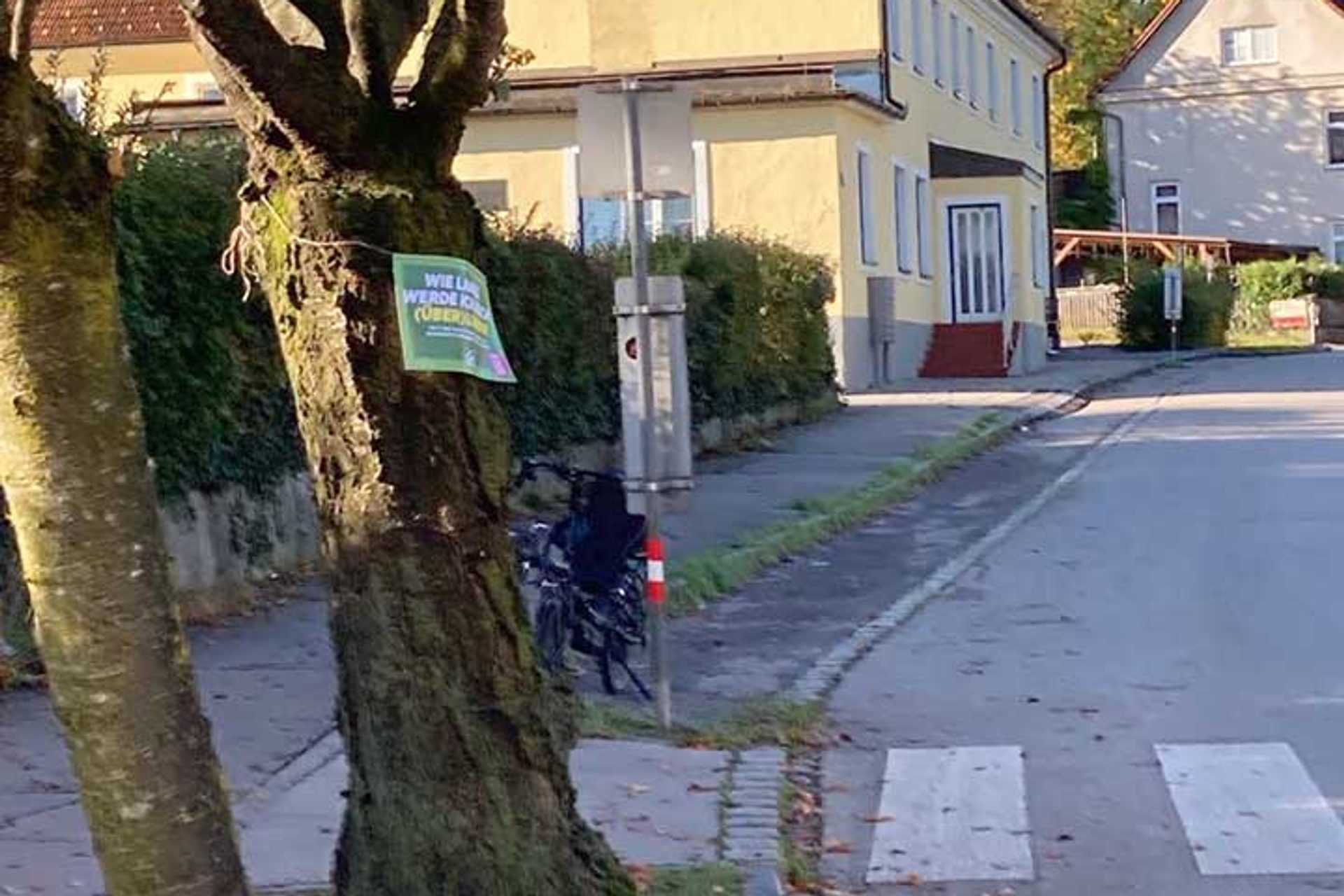 Baumschutz-Verordnung-St.Poelten: Schild auf Baum am Straßenrand 'Wie lange werde ich noch überleben?