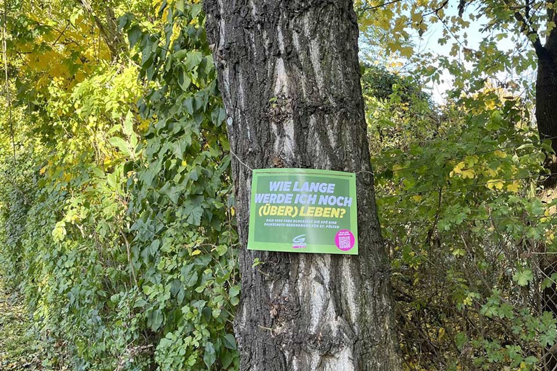 Baumschutz-Verordnung-St.Poelten: Schild auf Baum 'Wie lange werde ich noch überleben?