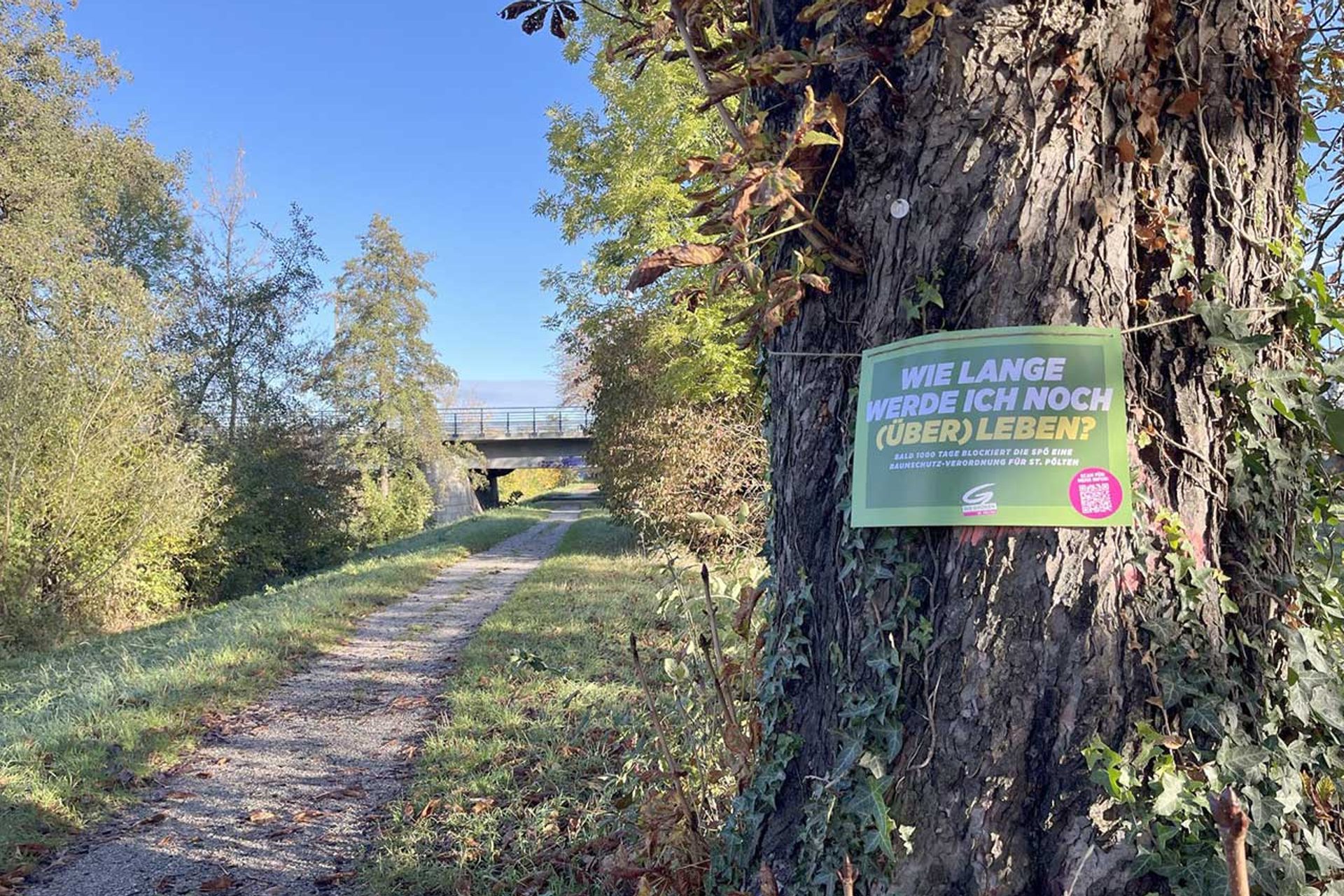 Baumschutz-Verordnung-St.Poelten: Schild auf Baum an der Traisen 'Wie lange werde ich noch überleben?