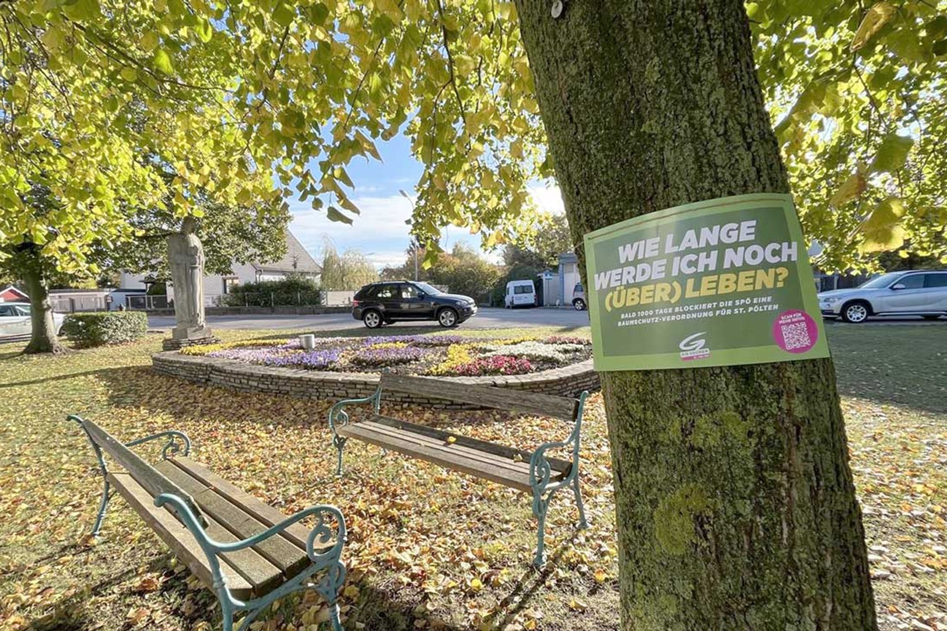 Baumschutz-Verordnung-St.Poelten: Schild auf Baum in kleiner Grünfläche 'Wie lange werde ich noch überleben?