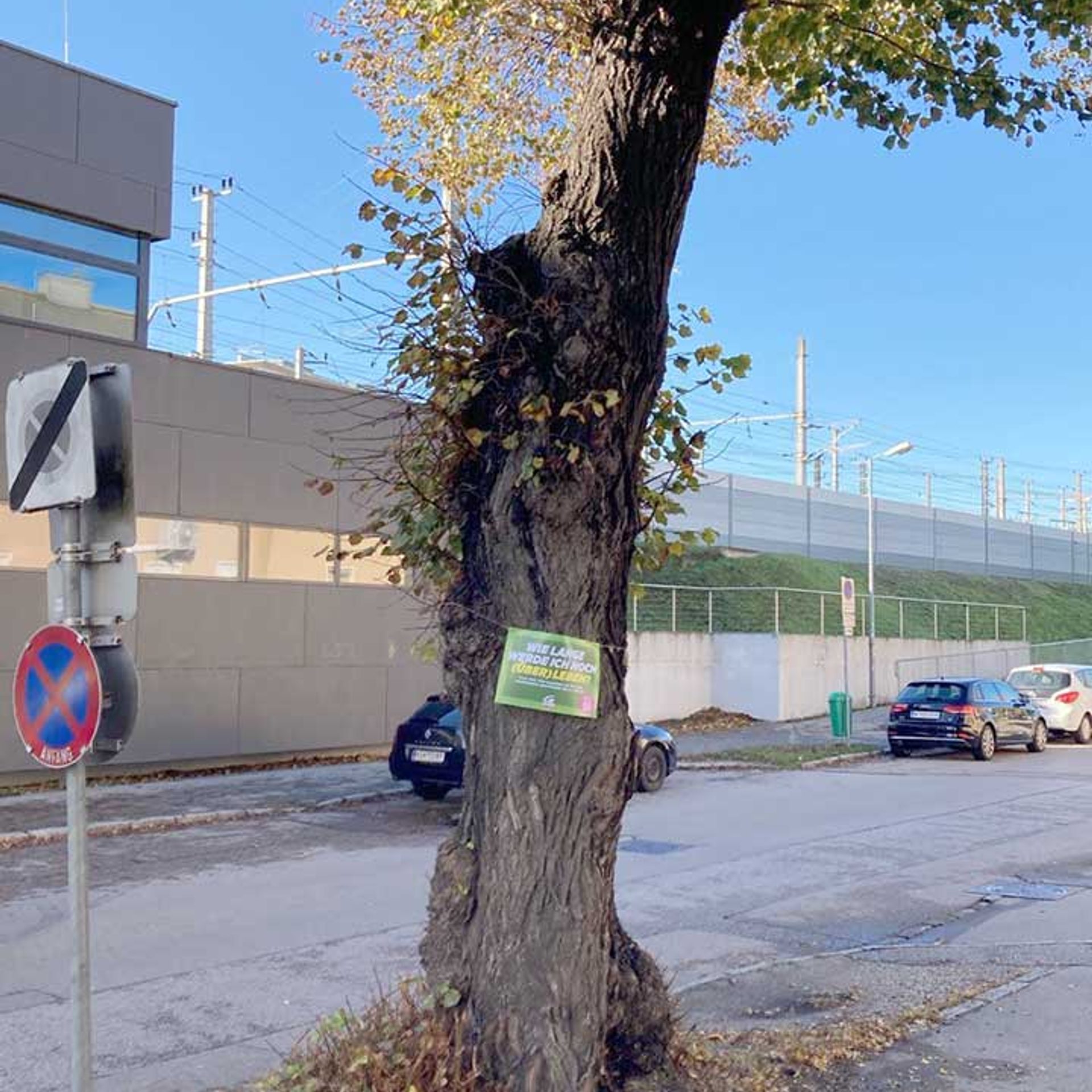 Baumschutz-Verordnung-St.Poelten: Schild auf Baum vor ÖBB-Lärmschutzwand 'Wie lange werde ich noch überleben?