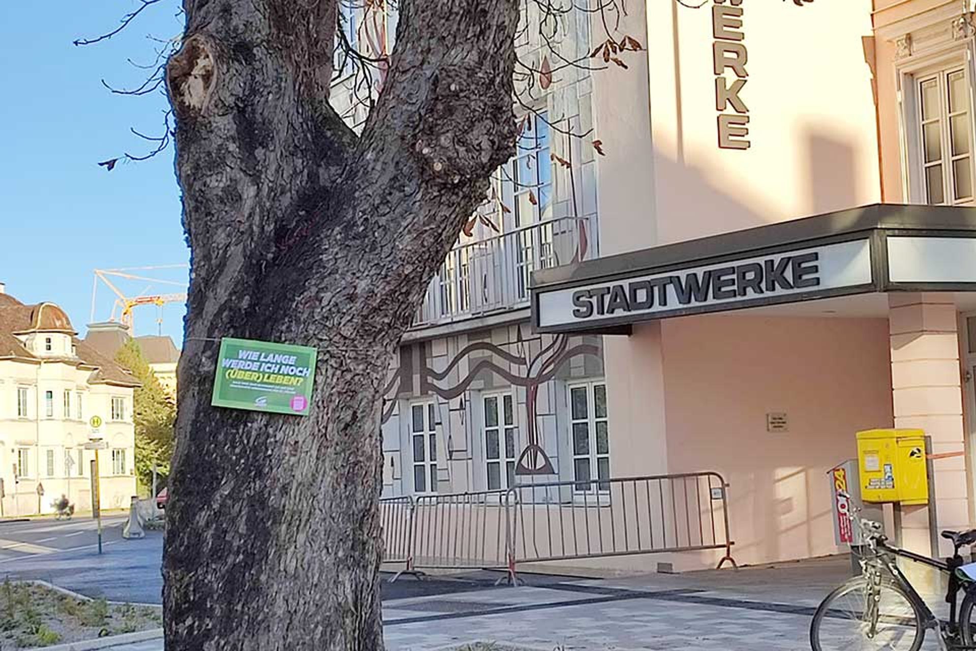 Grüne fordern Baumschutz-Verordnung für St. Pölten: Schild auf Baum vor Stadtwerken "Wie lange werde ich noch überleben?"