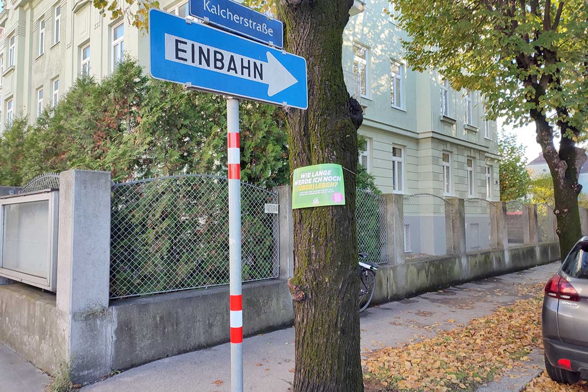 Baumschutz-Verordnung-St.Poelten: Schild auf Baum am Straßenrand 'Wie lange werde ich noch überleben?