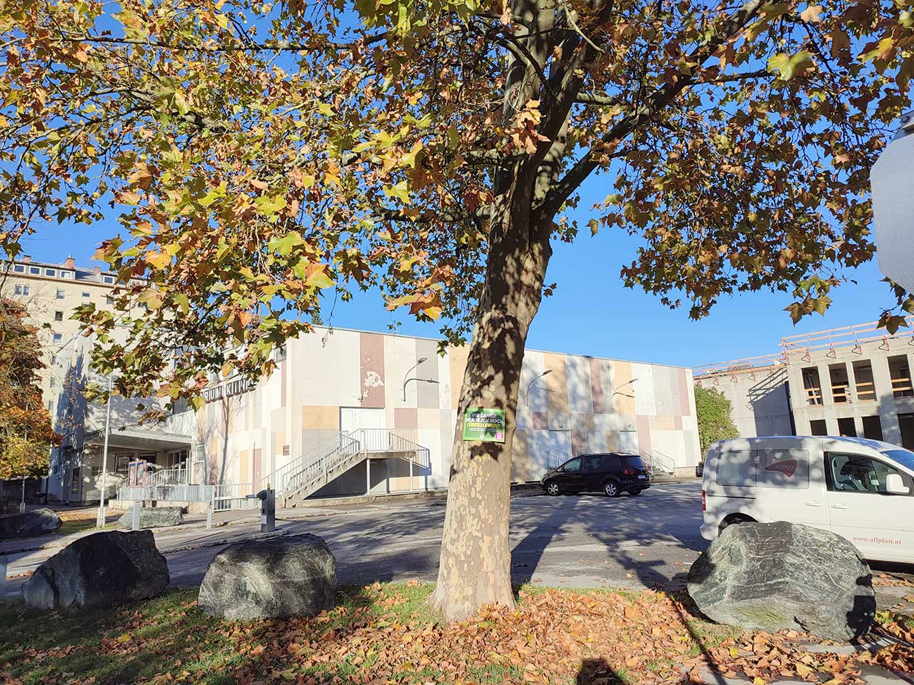 Baumschutz-Verordnung-St.Poelten: Schild auf Baum in kleiner Grünfläche 'Wie lange werde ich noch überleben?