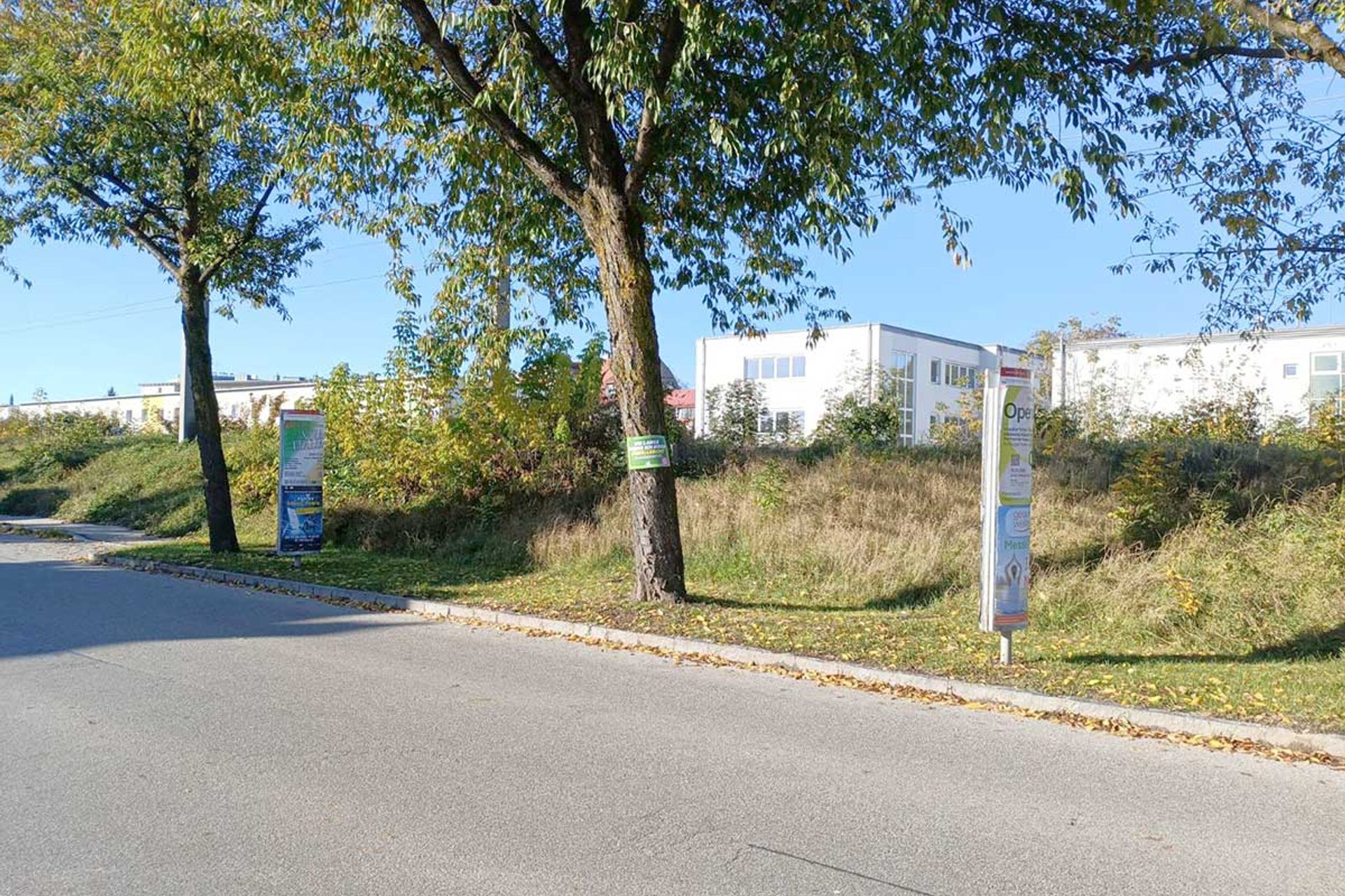 Baumschutz-Verordnung-St.Poelten: Schild auf Baum am Straßenrand 'Wie lange werde ich noch überleben?