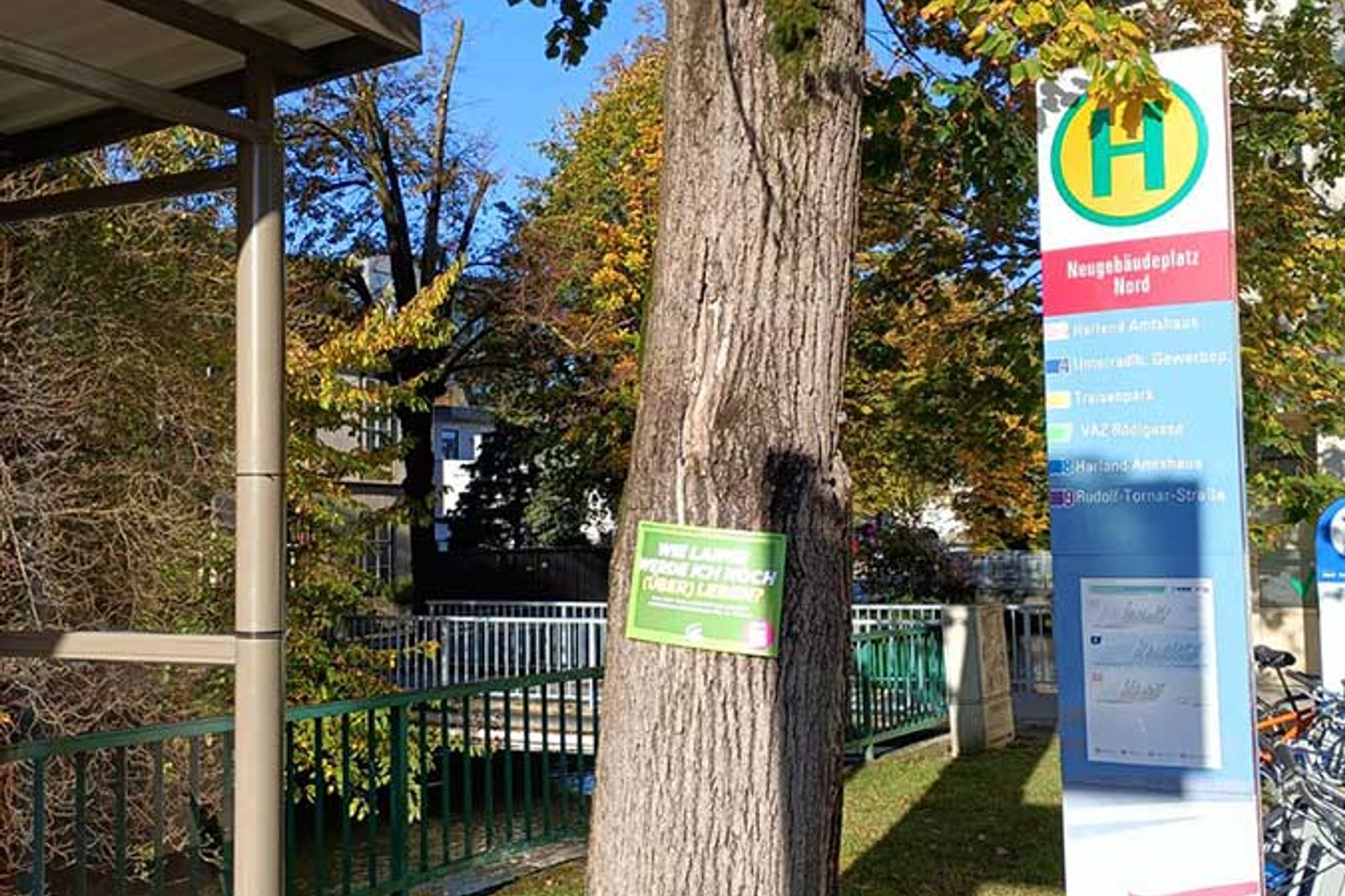 Grüne fordern Baumschutz-Verordnung für St. Pölten: Schild auf Baum an Bushaltestelle "Wie lange werde ich noch überleben?"