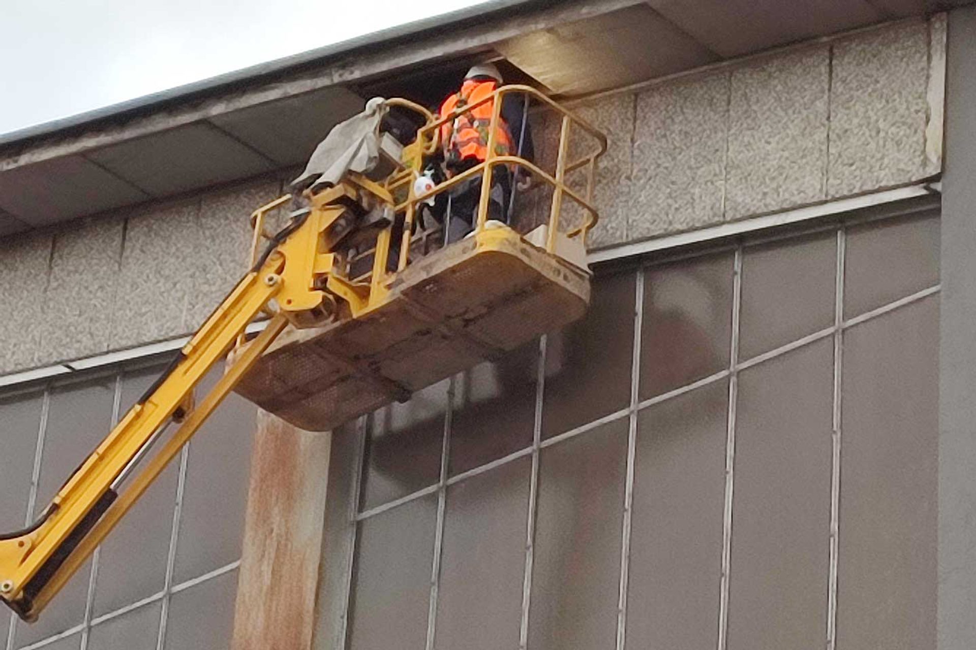 Männer auf Hebebühne inspizieren Falkennester an der VOITH-Halle