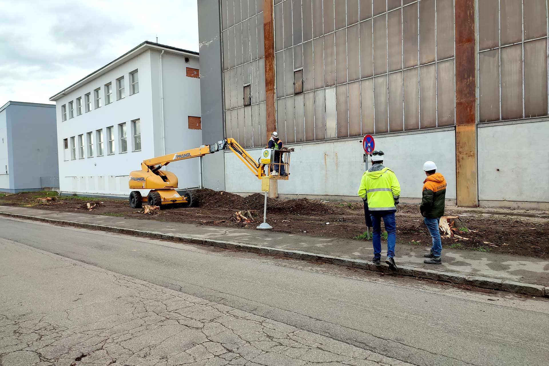 Männer auf Hebebühne bringen Falkennester nach unten