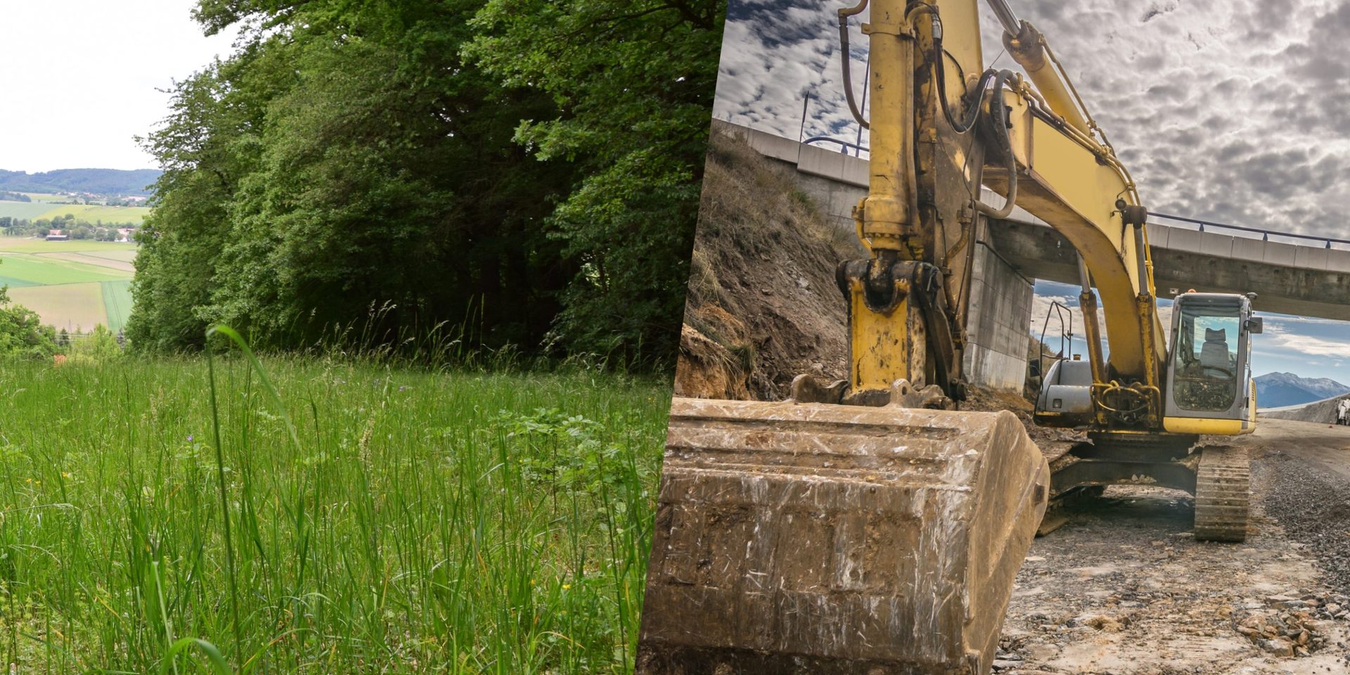 Grüne Natur - gegenübergestellt: Straßenbaustelle mit Bagger