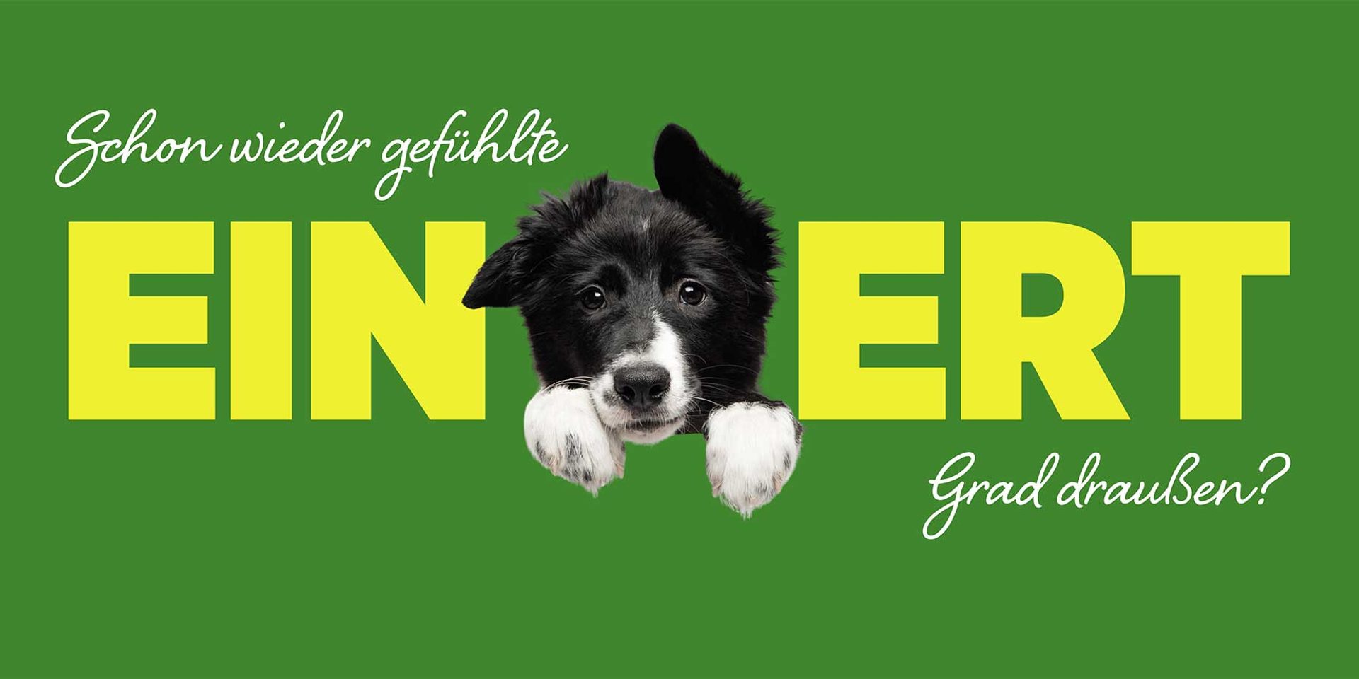 Hund mit Schriftzug 'Schon wieder gefühlte 100 Grad draußen'