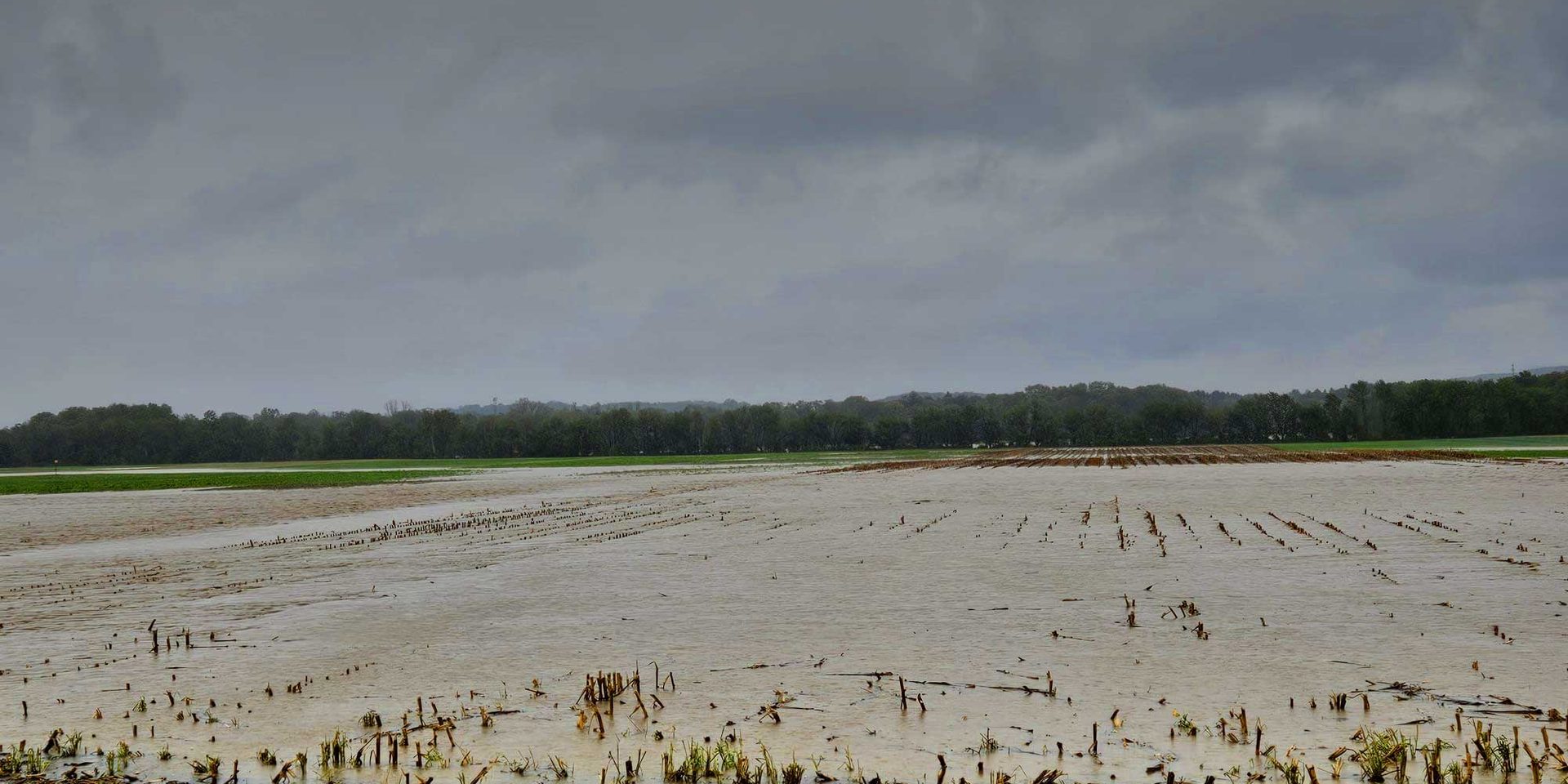 Überschwemmte-Ackerflächen am geplanten REWE-Lager-Bauplatz