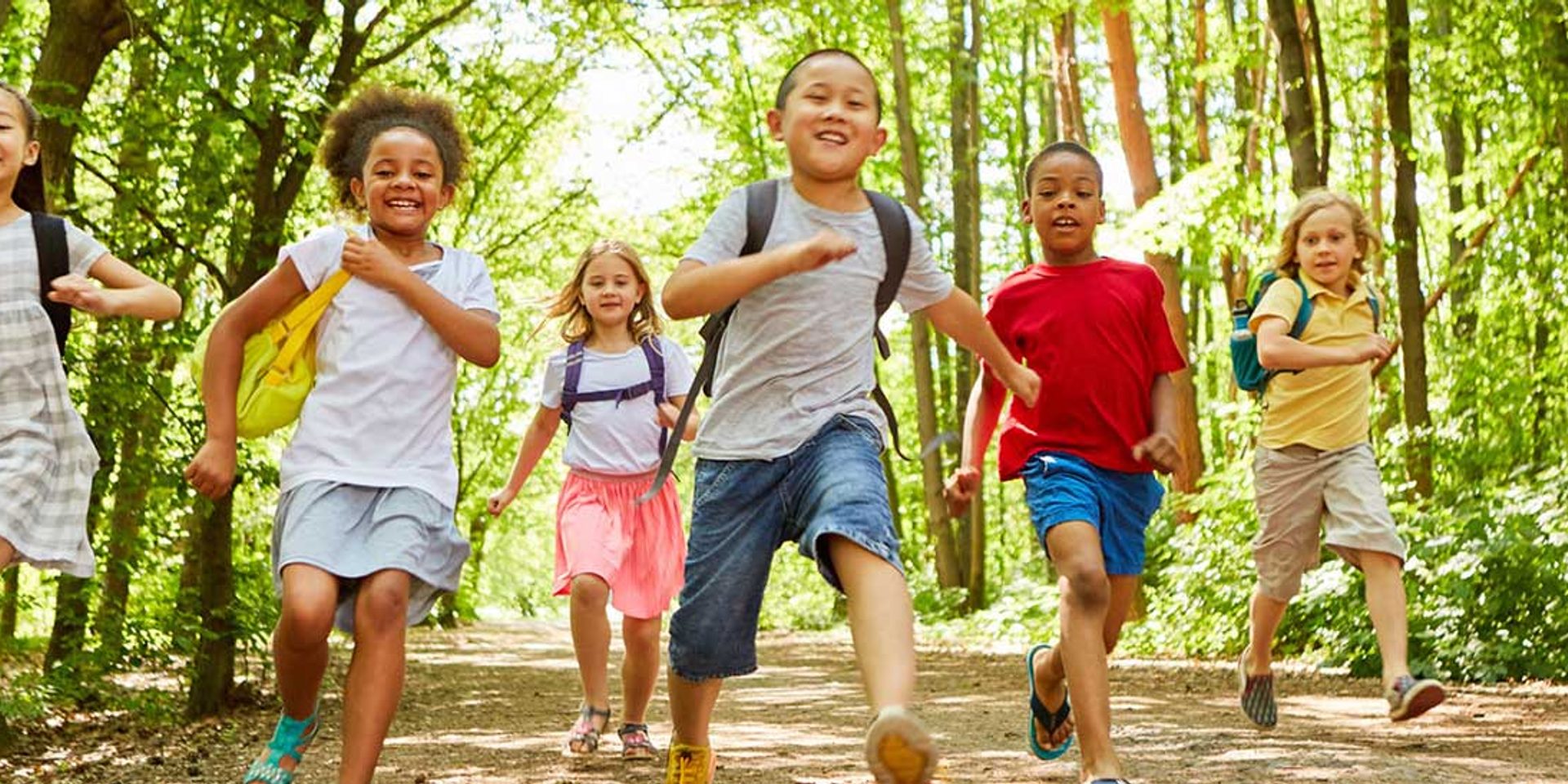 Fröhliche Kinder laufen durch einen sommerlichen Wald