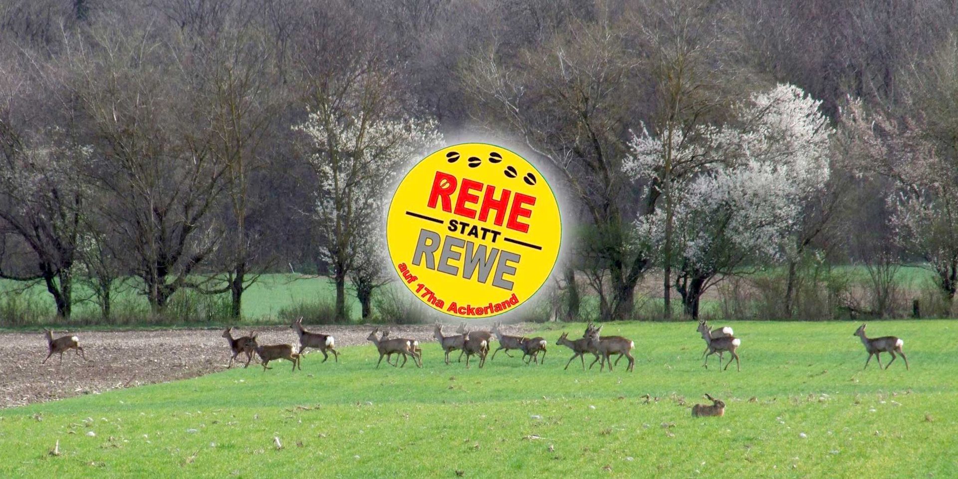 Rehe und ein Hase auf dem Acker, der von REWE verbaut werden soll, Logo 'Rehe statt REWE'
