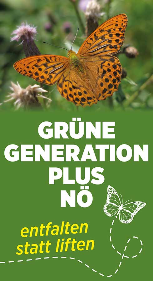 Gruene_Generationplus_Niederoesterreich_2025_12_RollUp_Classic_85x200_20251222_v1_2