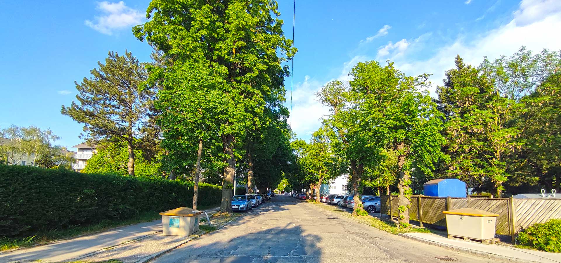 Lindenallee in der St. Pöltner Heidenheimerstraße im Abendlicht beschattet die Straße, parkende Autos und die angrenzende Wohnbebauung
