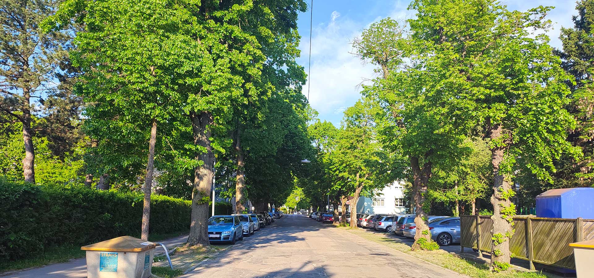 Lindenallee in der St. Pöltner Heidenheimerstraße im Abendlicht beschattet die Straße, parkende Autos und die angrenzende Wohnbebauung