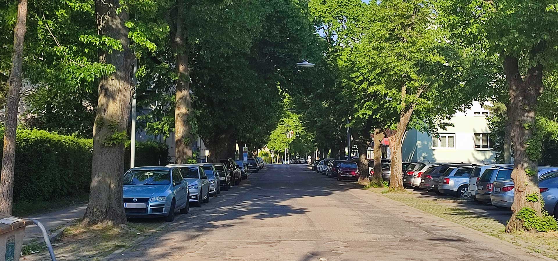 Lindenallee in der St. Pöltner Heidenheimerstraße im Abendlicht beschattet die Straße, parkende Autos und die angrenzende Wohnbebauung
