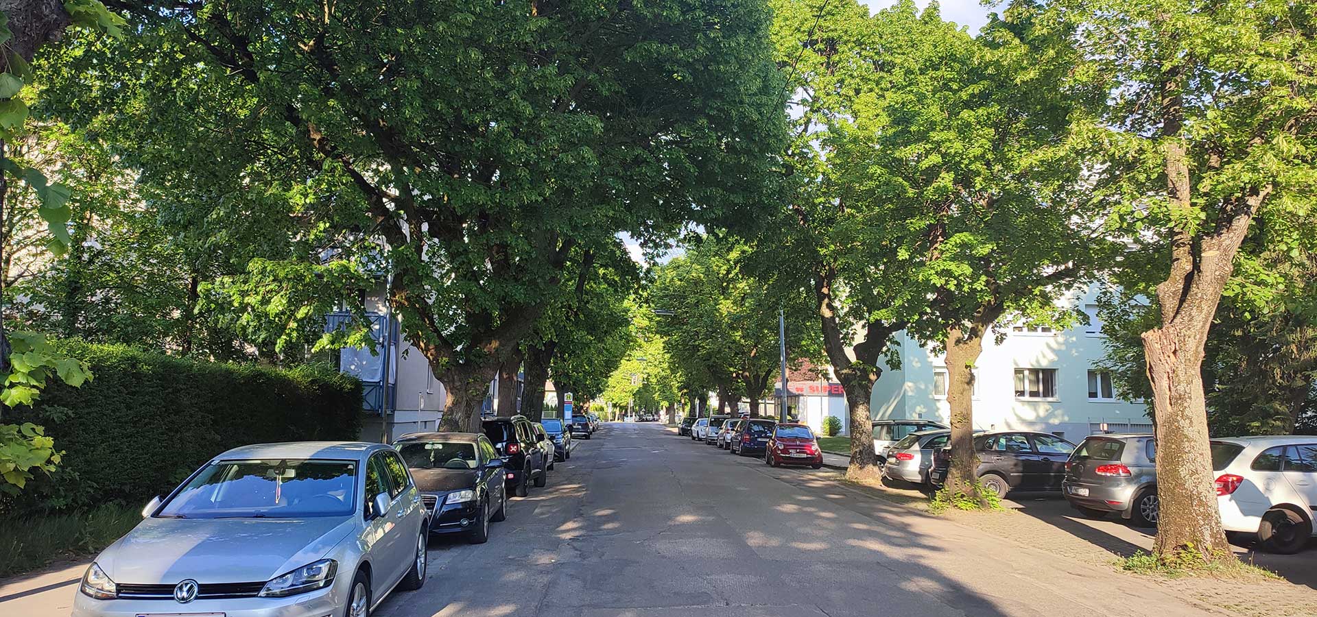Lindenallee in der St. Pöltner Heidenheimerstraße im Abendlicht beschattet die Straße, parkende Autos und die angrenzende Wohnbebauung