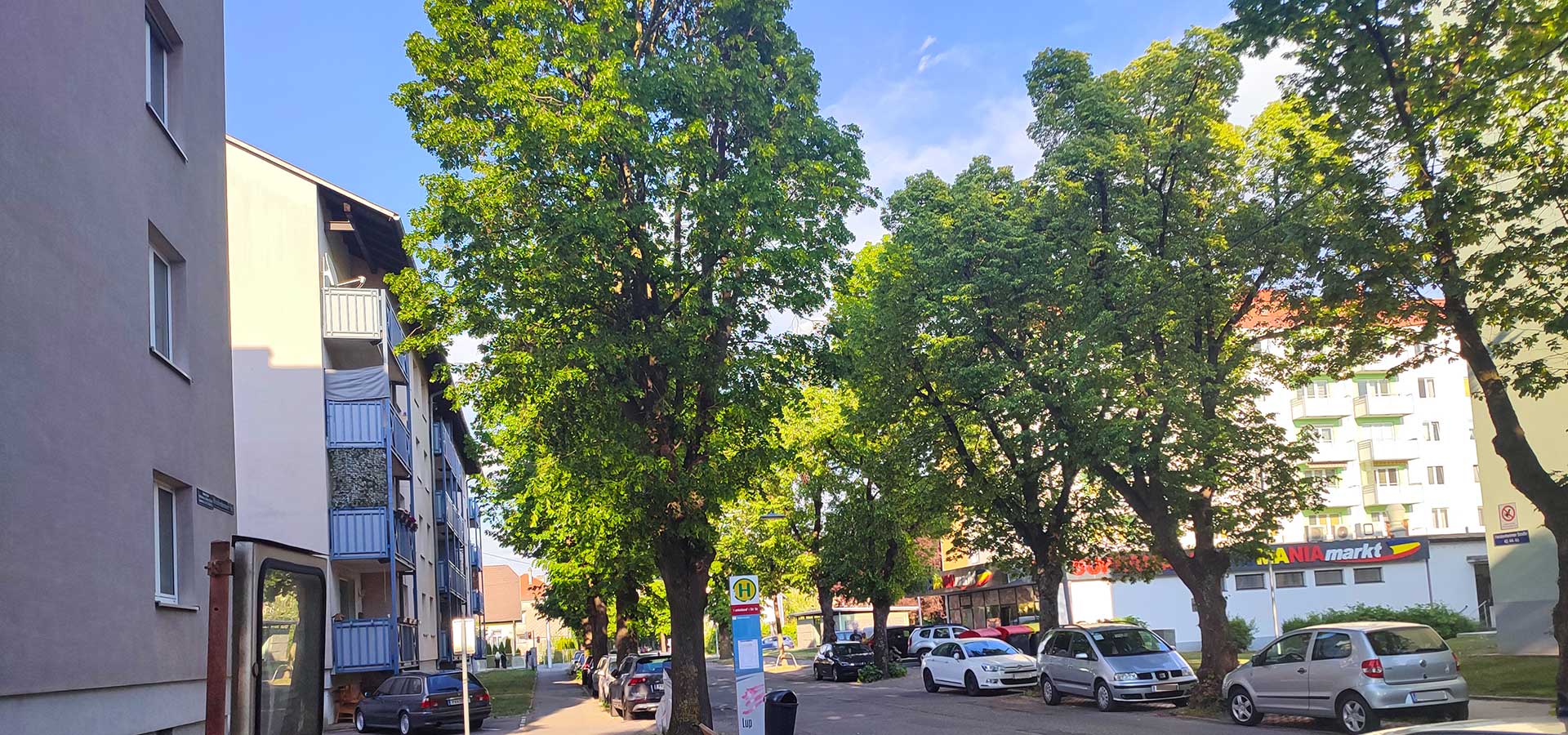 Lindenallee in der St. Pöltner Heidenheimerstraße im Abendlicht beschattet die Straße, parkende Autos und die angrenzende Wohnbebauung