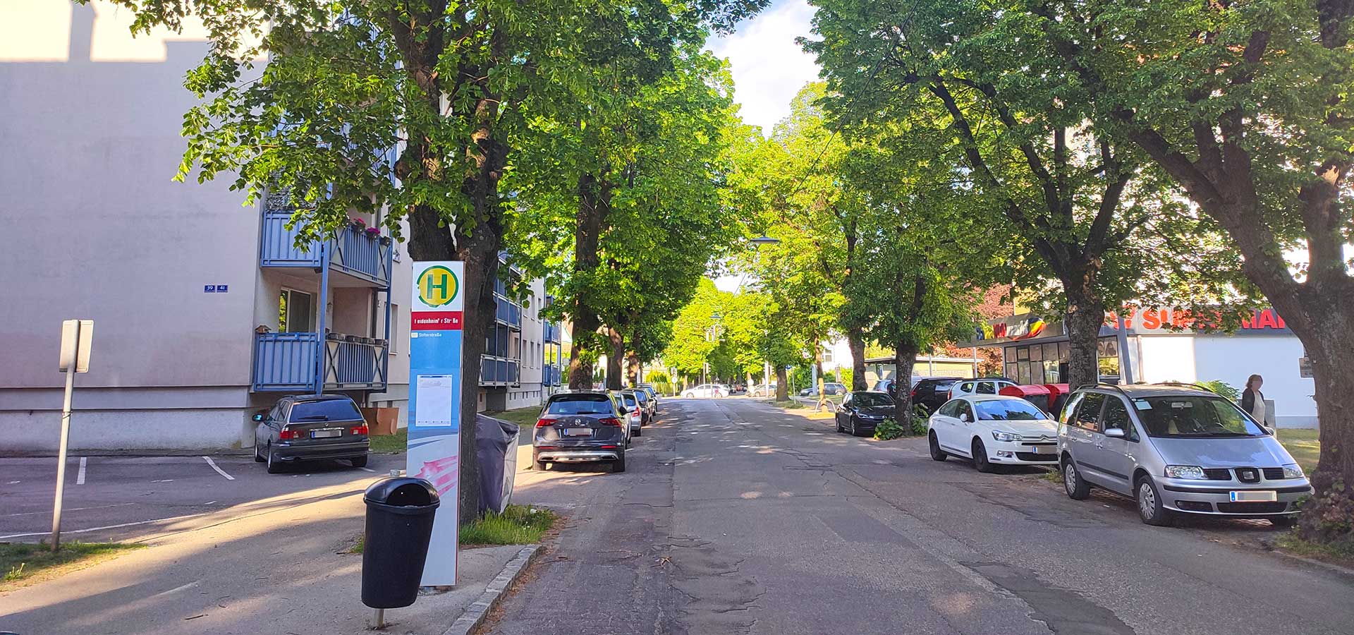 Lindenallee in der St. Pöltner Heidenheimerstraße im Abendlicht beschattet die Straße, parkende Autos und die angrenzende Wohnbebauung