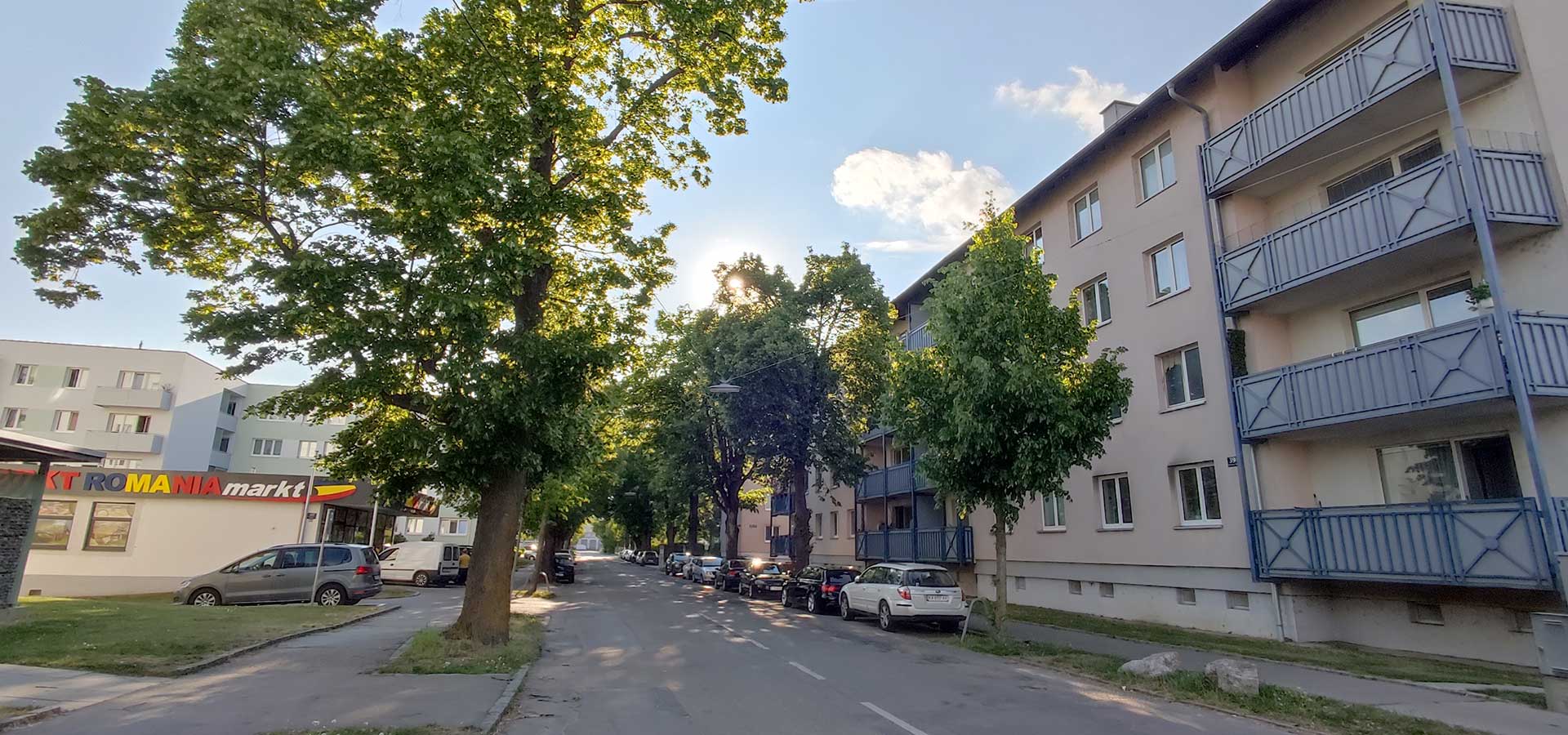 Lindenallee in der St. Pöltner Heidenheimerstraße im Abendlicht beschattet die Straße, parkende Autos und die angrenzende Wohnbebauung
