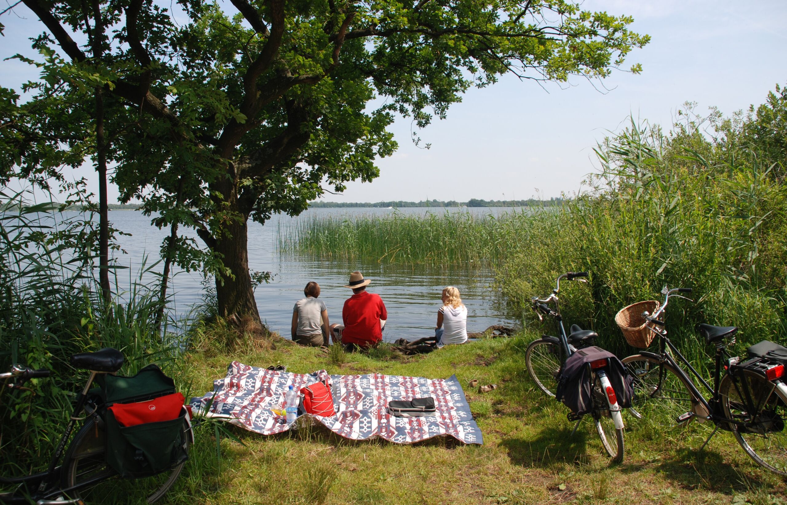 Drei Personen sitzen am Ufer eines Sees im Schatten eines großen Baums. Im Vordergrund liegen eine Picknickdecke und Fahrräder auf einer Wiese, rechts wächst hohes Schilf am Wasser. Die Szene wirkt ruhig und sommerlich.